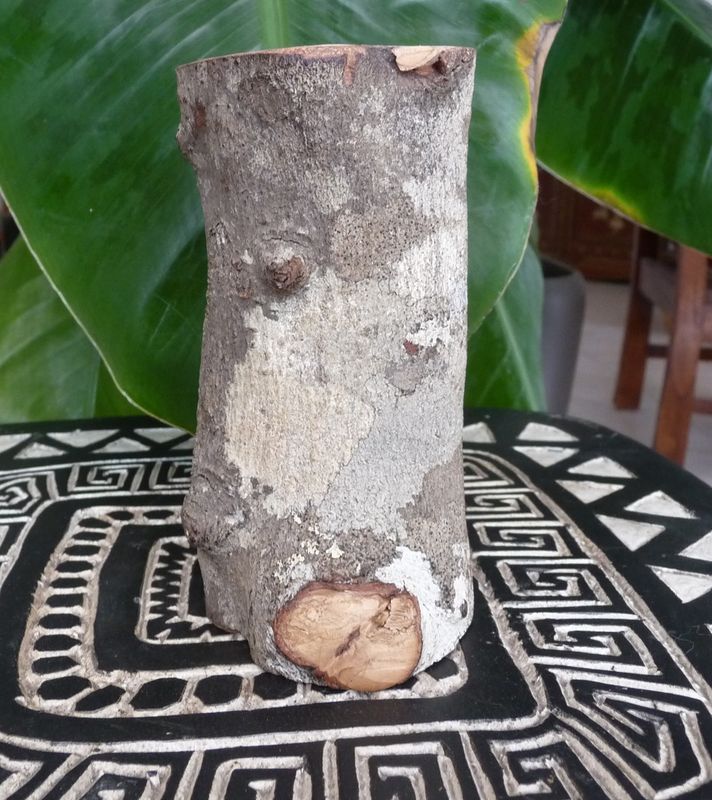 Crèche de Noël en bois de fazanava sculptée dans une branche