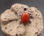 Bague tortue en Jaspe Rouge d'Inde