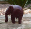 Eléphant en bois de rose artisanat Inde